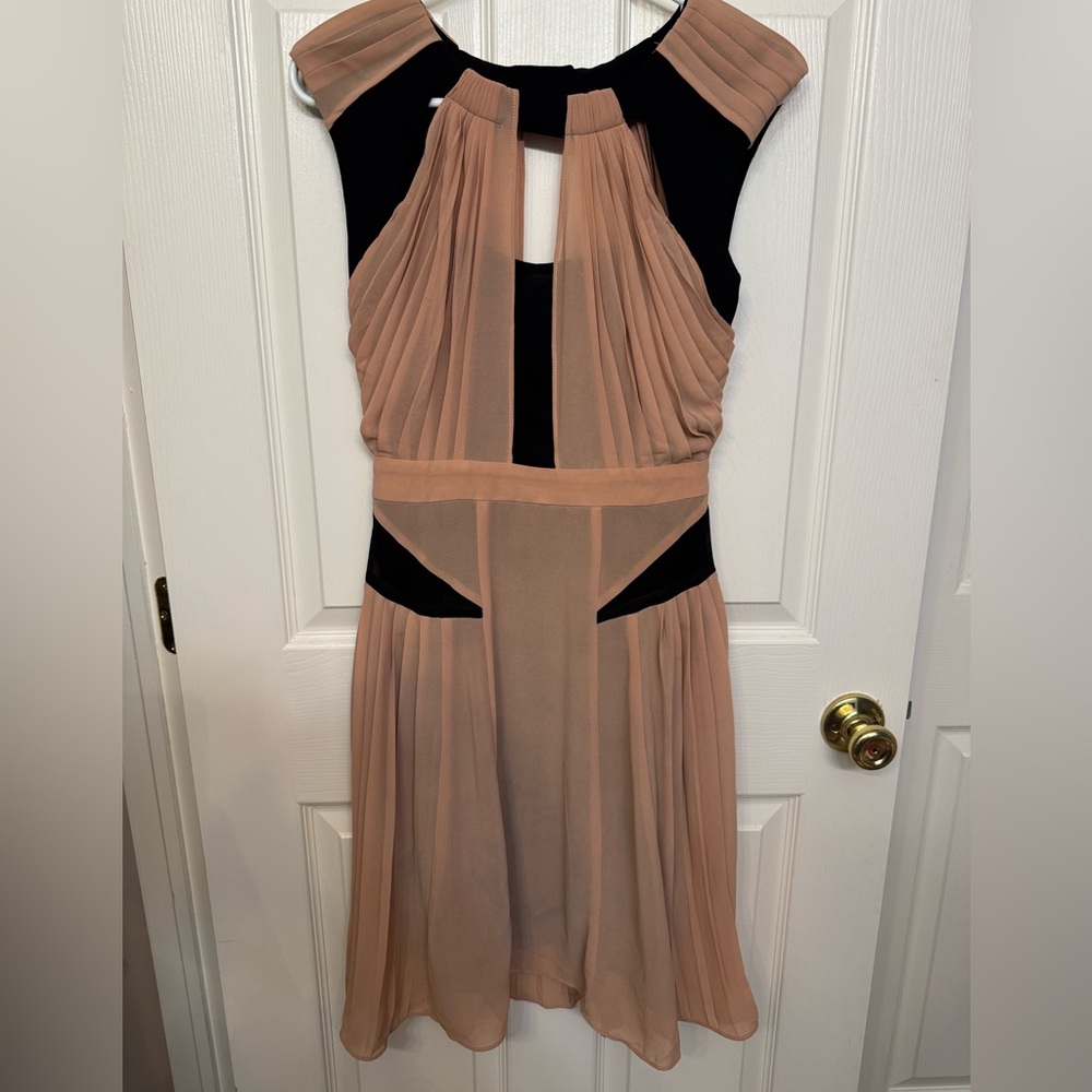 Kaii Blush Pink and Black Pleated Mini Dress